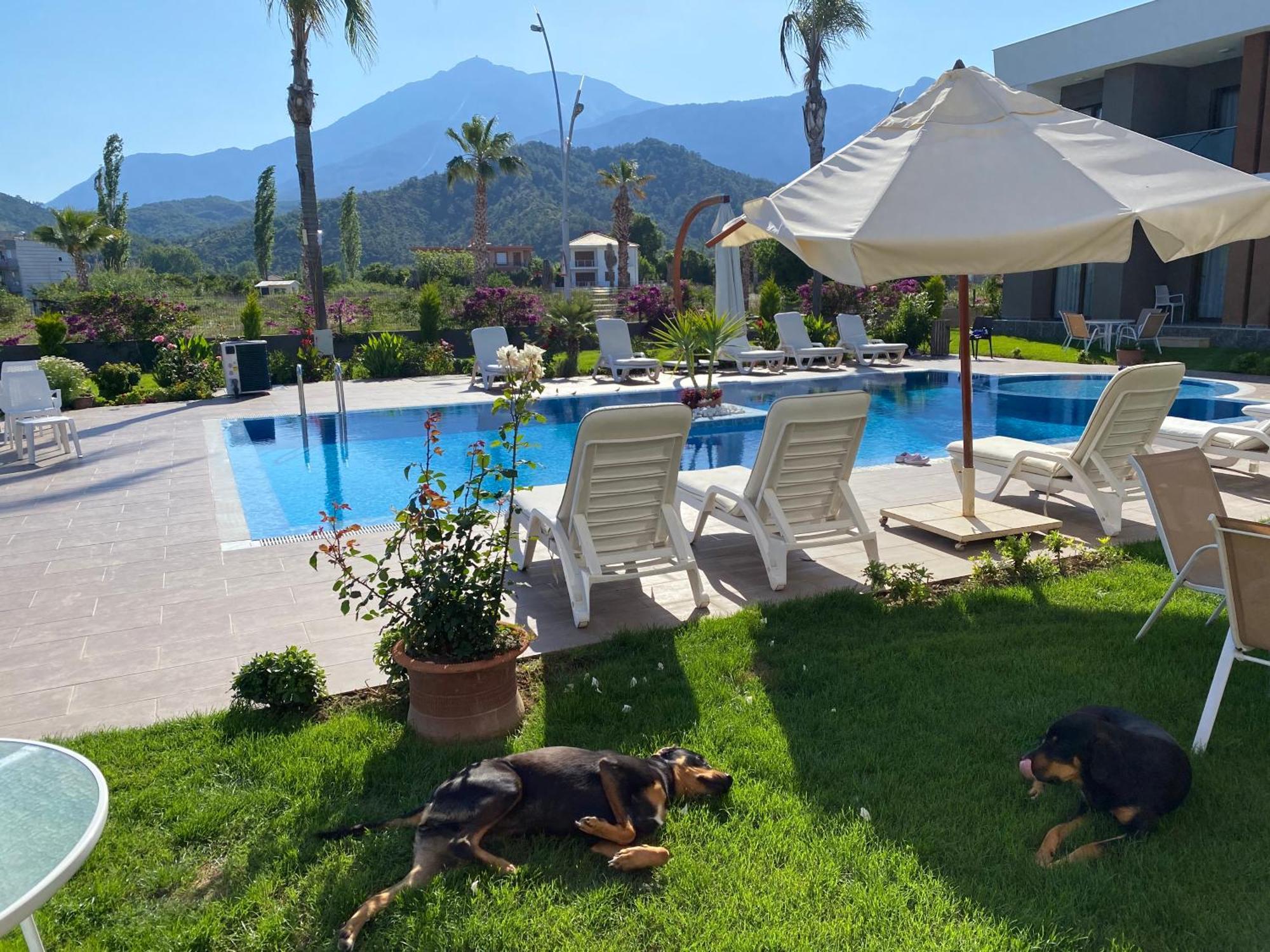 Mandalina Apartments Агва Екстер'єр фото